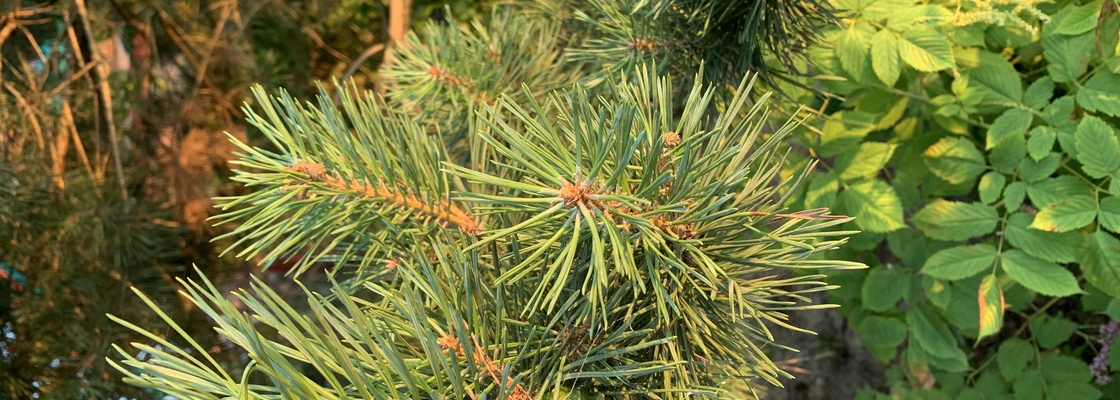 Main 39f821ed d504 401c a64e 666b80a282b2