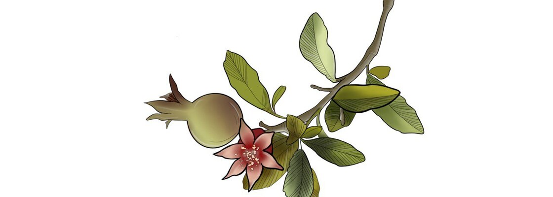 Main 981c78da 74be 464f 9bd5 5355b9014c10