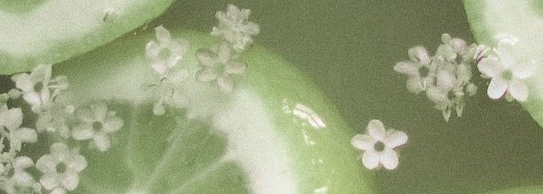 Main 93f9e012 6d7a 46f6 b4e3 180a250c96a3