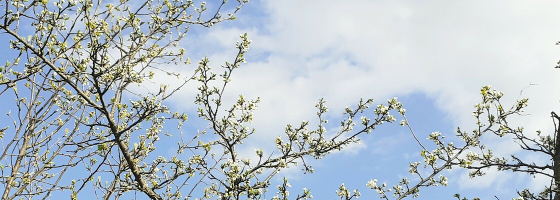 Main 20200523 210422  2 