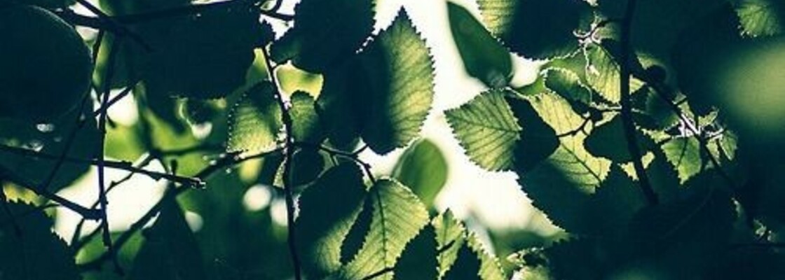 Main c695a29176f280819a4aa0959f461693