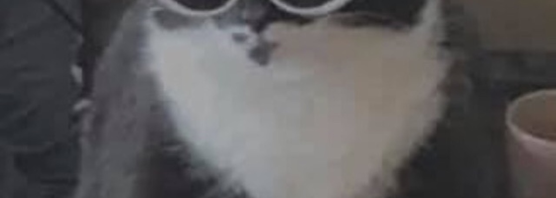 Main 0df6fffd 9595 4d38 8128 4913c1e40cae