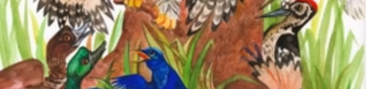 Main 17649201085778527488521366483126