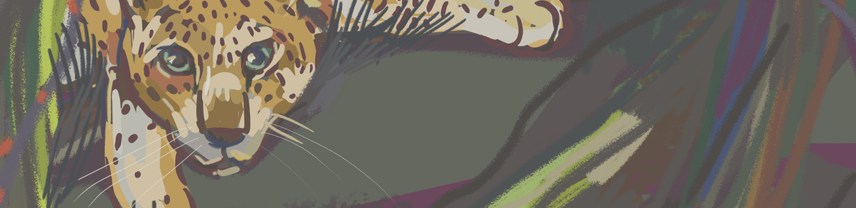 Main %d0%9e%d0%a0%d0%98%d0%95%d0%9d%d0%a2%d0%98%d0%a03