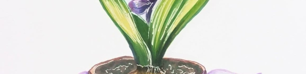 Main photo 2022 03 08 12 36 46