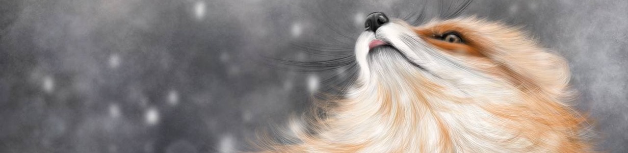 Main photo 2022 01 16 00 56 36