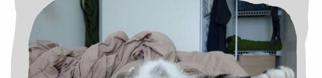 Main img 20220125 wa0000