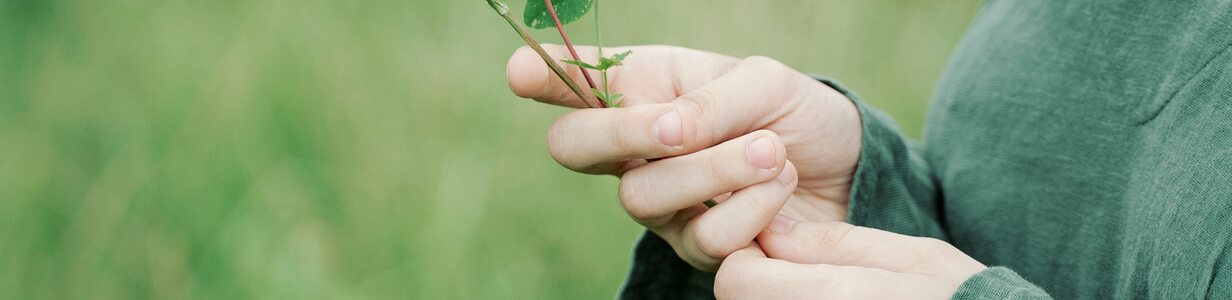 Main img 20210721 144616 024