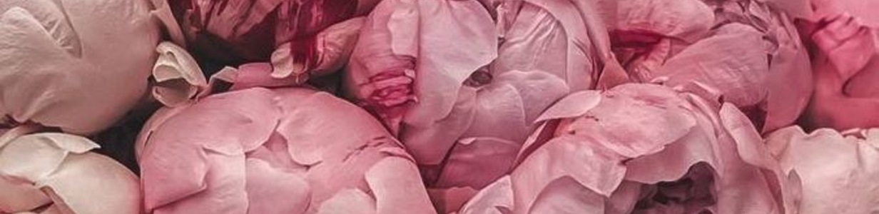 Main cd7851e9 44cc 4c45 b4e9 0ba265c63440