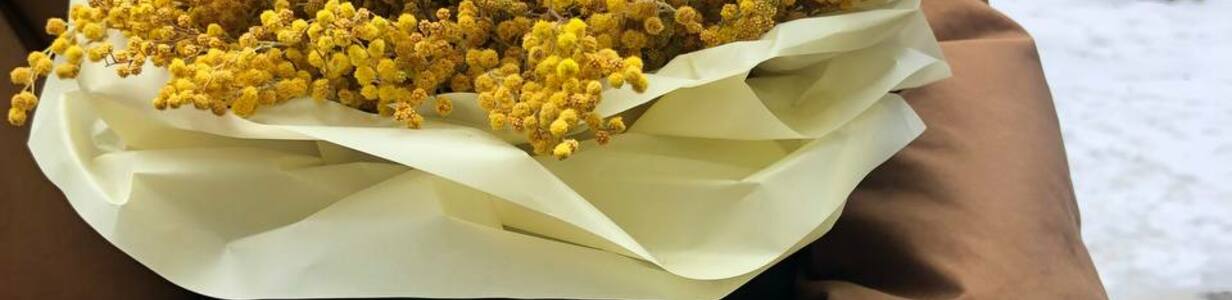 Main img 20220127 153337 828