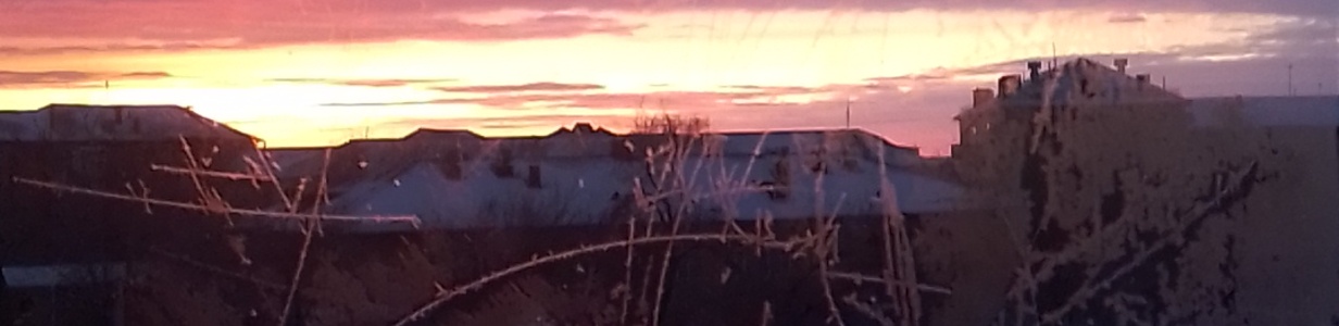 Main img 20230113 085425