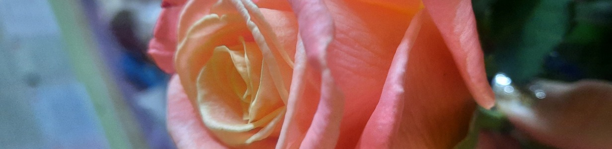 Main 20220404 140409