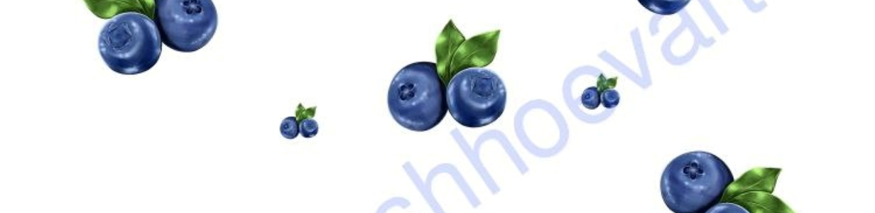 Main photo 2025 06 23 22 21 55