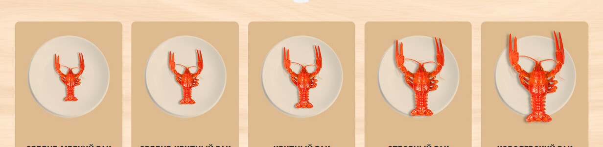 Main 2022 05 17 115905