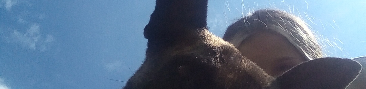 Main img 20220716 111726