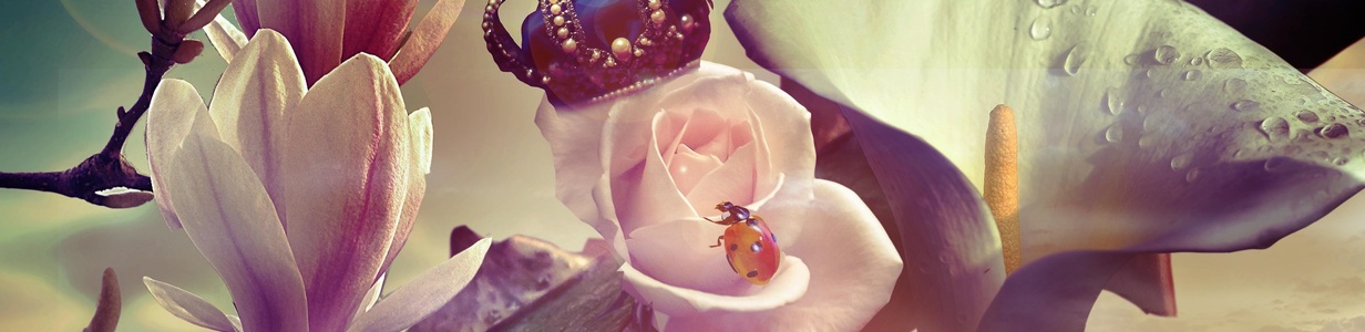 Main %d0%ba%d0%be%d1%80%d0%be%d0%bd%d0%b0 %d0%bd%d0%b0 %d1%80%d0%be%d0%b7%d0%b5 %d1%81%d0%b2%d0%b5%d1%82   %d0%ba%d0%be%d0%bf%d0%b8%d1%8f   %d0%ba%d0%be%d0%bf%d0%b8%d1%8f