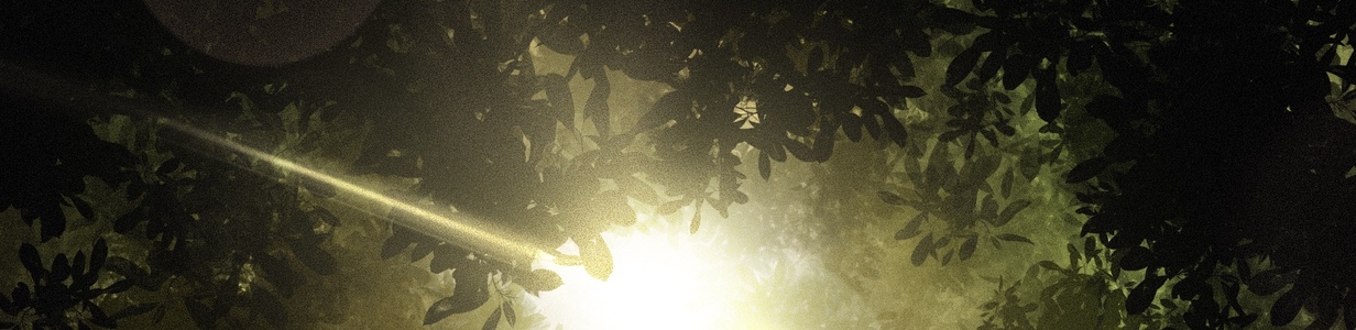 Main a2b5ae84 8649 437e b62e 0540dc550c40