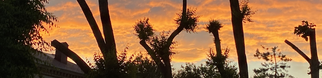 Main 493437ff d85c 4323 b6ae cc8342c130f1