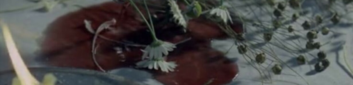 Main 42deda907b92bdf12529edc51eb2d583