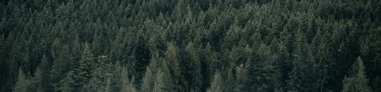 Main e7531fbb d470 40ab 880c d17fdee551fa