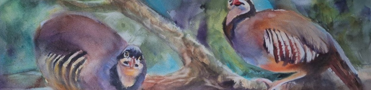 Main img 20250308 090322 046