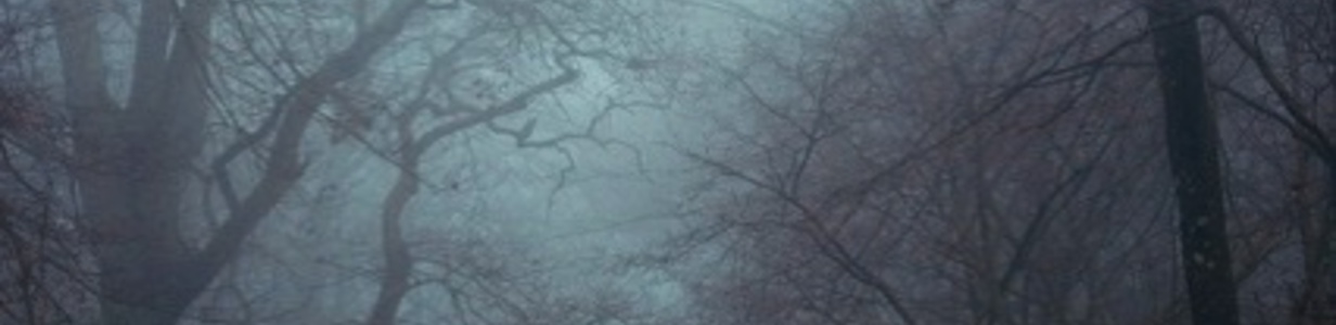 Main 803d8240 b353 4978 a394 557d26a68669