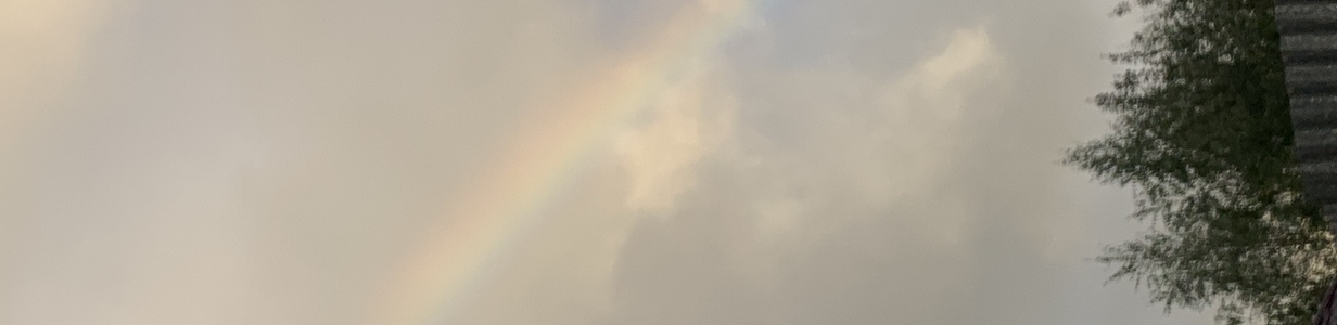 Main 9753eb40 4bea 4eb1 a342 8523dd8b59d4