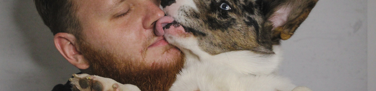 Main 42ef8bcb 3a84 480f aecd 13eea9559189