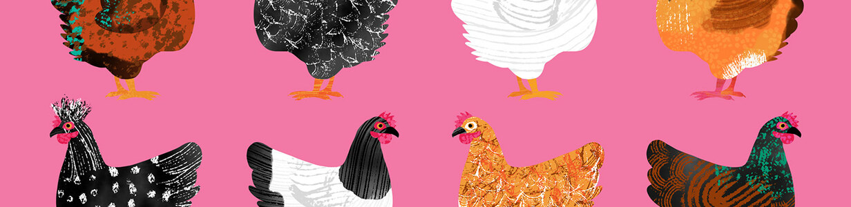 Main b0bd31210259589.670e51d89067c  1 