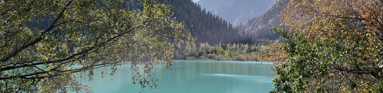 Main 6e9711ea 4b93 467a 84b4 e87c0678b96a