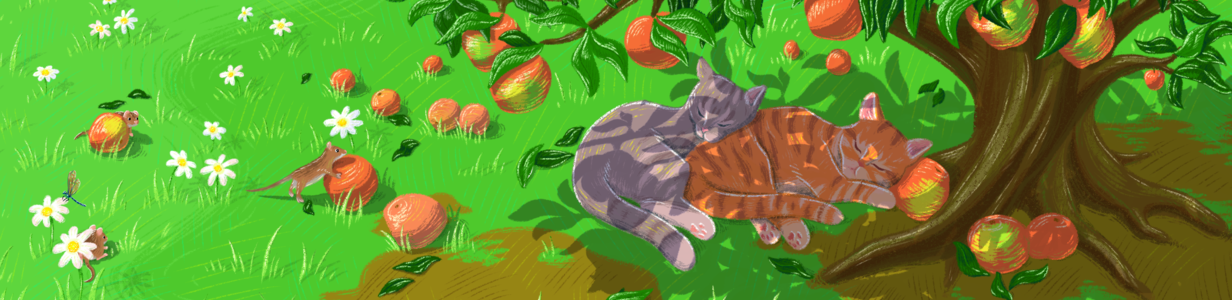 Main img 20250617 013012