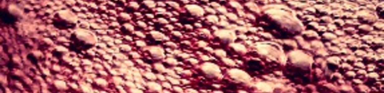 Main 20221023 145359783  2 