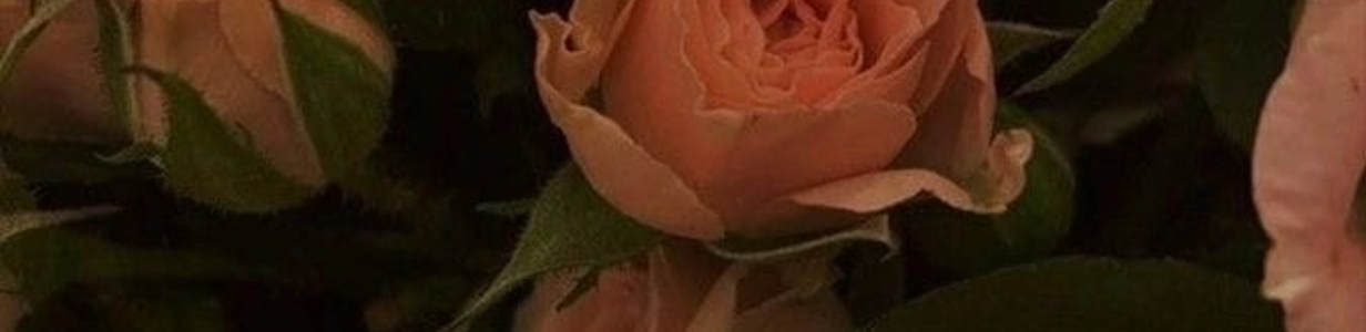 Main 38418b98 b435 41f7 ae8e 1d835f3a598d