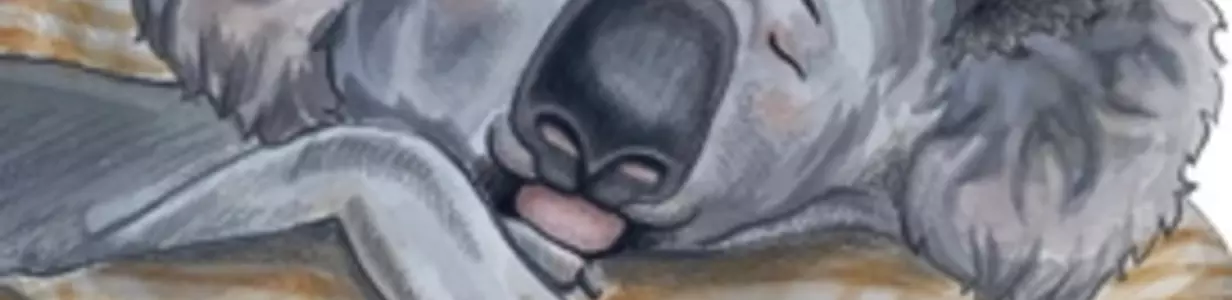 Main %d0%98%d0%b7%d0%be%d0%b1%d1%80%d0%b0%d0%b6%d0%b5%d0%bd%d0%b8%d0%b5 webp