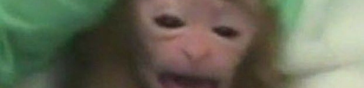 Main 8a3919063897b8c7936e79b073953620