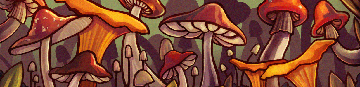 Main %d0%b3%d1%80%d0%b8%d0%b1%d1%8b