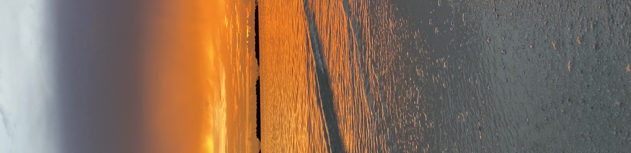 Main e46bc236 4f98 4652 9710 725ff5fba01d