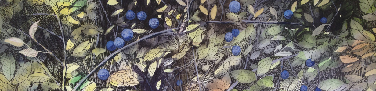 Main %d0%be%d0%b1%d0%bb%d0%be%d0%b6%d0%ba%d0%b0 2