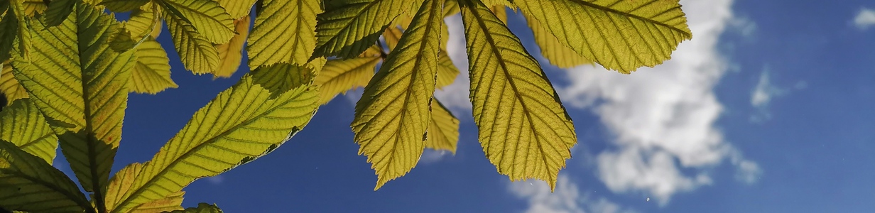 Main img 20240518 152740