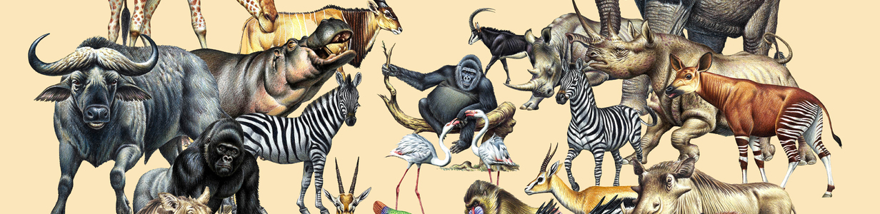 Main %d0%90%d1%84%d1%80%d0%b8%d0%ba%d0%b0  2