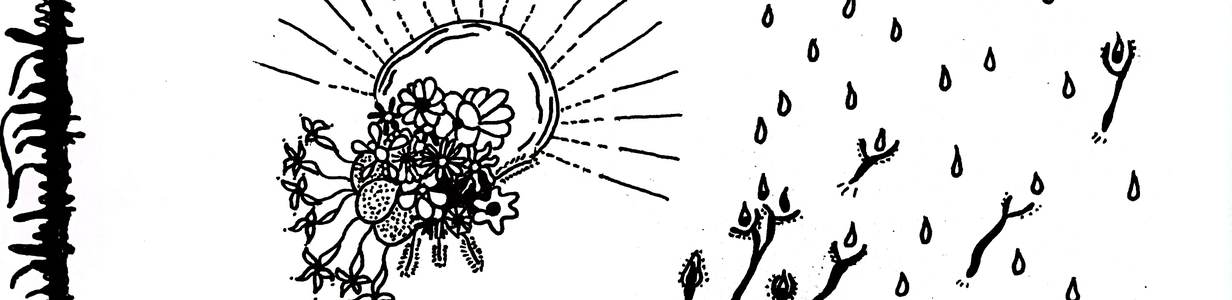 Main %d0%a6%d0%b8%d0%ba%d0%bb