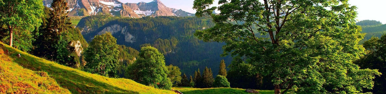 Main %d0%b8%d0%b7%d0%be%d0%b1%d1%80%d0%b0%d0%b6%d0%b5%d0%bd%d0%b8%d0%b5 2025 03 07 124630757