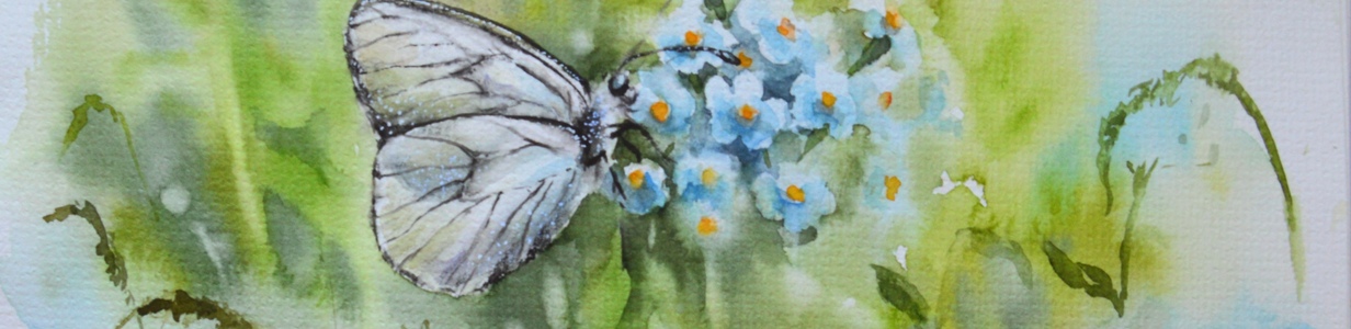 Main dsc 0269 edit 22346466334089