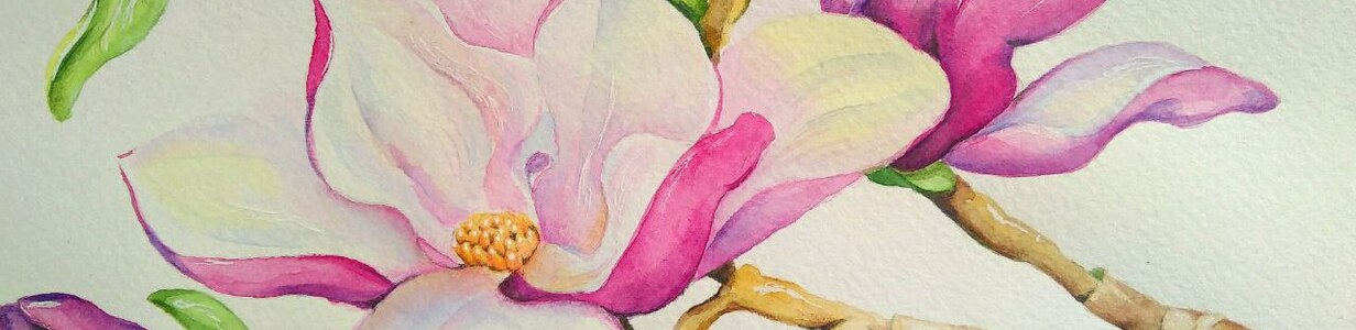 Main photo 2025 02 05 17 38 57