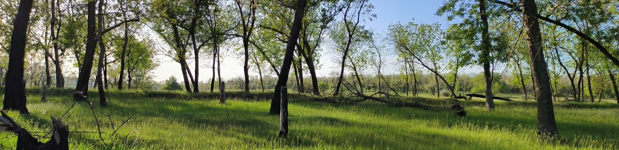 Main img 20240507 175632