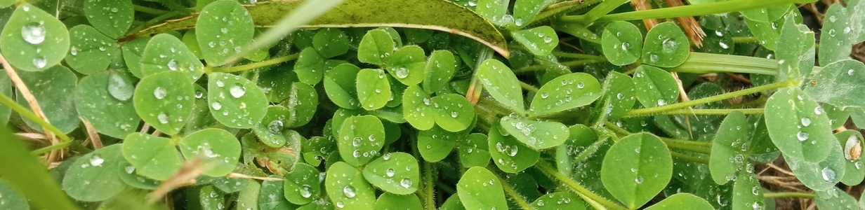 Main img 20241020 131348