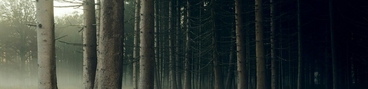 Main og og 1545034016219869408