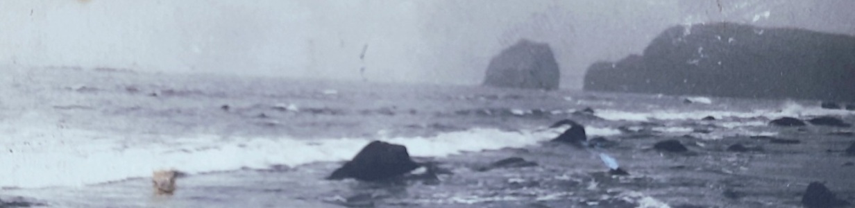 Main screenshot 20250405 160106 gallery