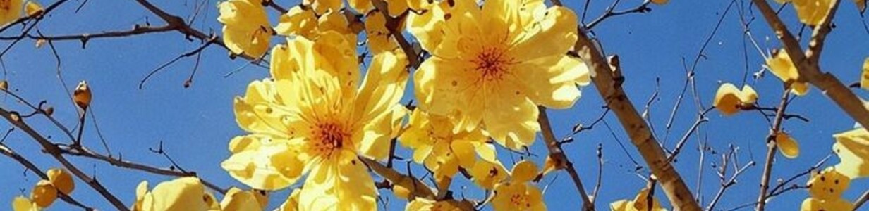 Main 06444637176d04a18ae7897aadf68725