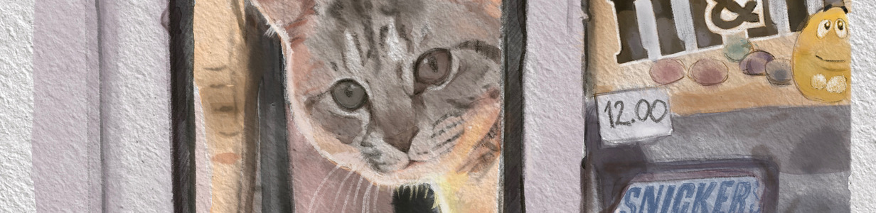 Main 98f6f02a 4166 4e36 a43c 1965dff84892